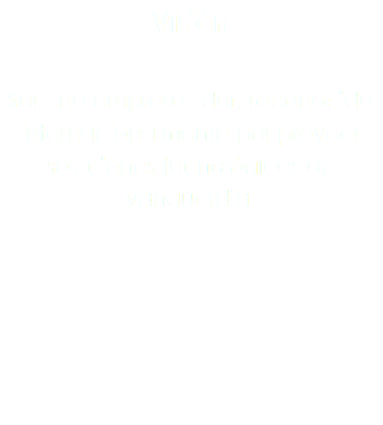 Visión Ser una empresa líder, reconocida internacionalmente por proveer soluciones tecnológicas de vanguardia.